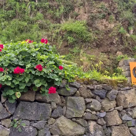 Holiday home Quinta Da Pavoa - House