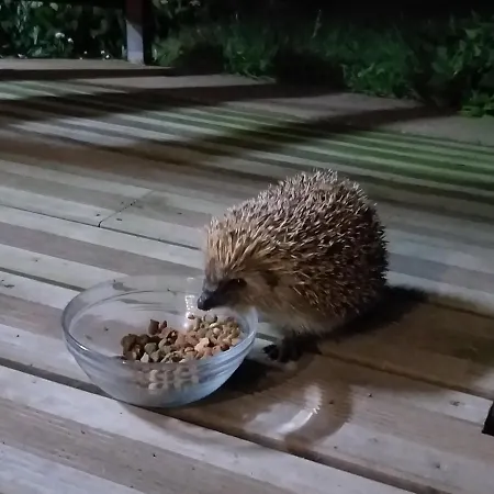 Quinta Da Pavoa - House *