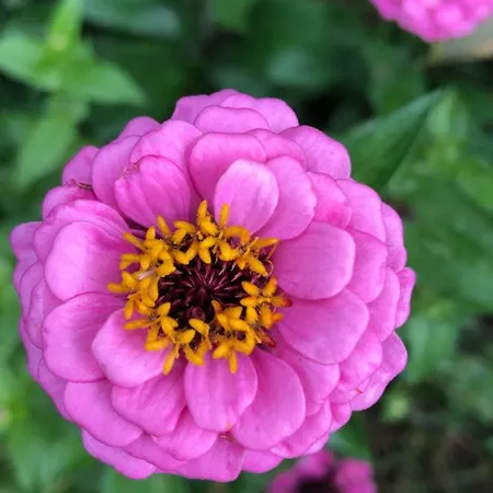 Quinta Da Pavoa - House *