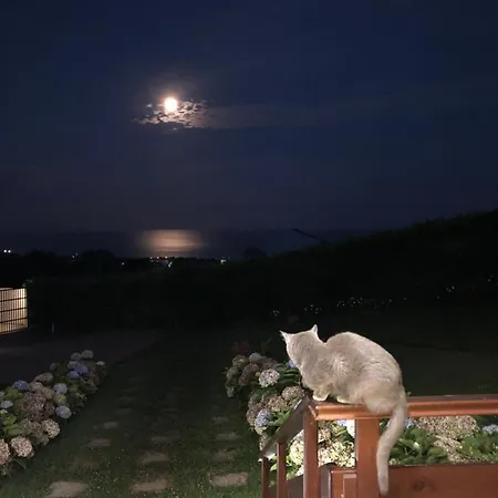 Quinta Da Pavoa - House Casa de Férias *