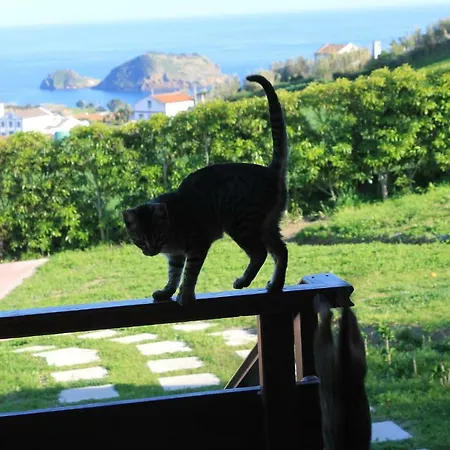 Holiday home Quinta Da Pavoa - House