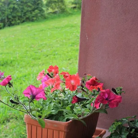 Holiday home Quinta Da Pavoa - House