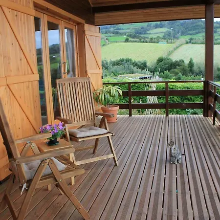 Quinta Da Pavoa - House Holiday home Vila Franca do Campo