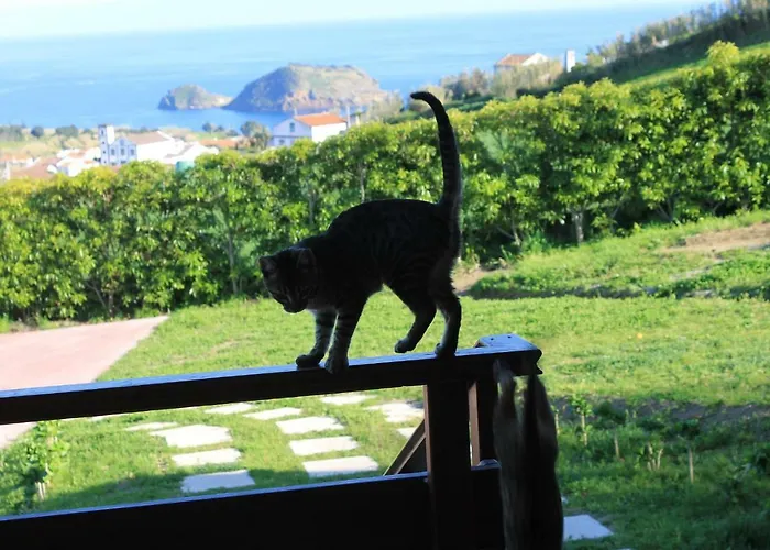 بيت للعطل Quinta Da Pavoa - House