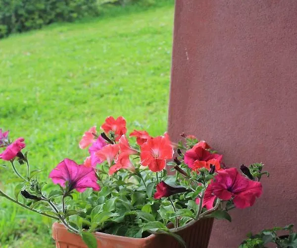 بيت للعطل Quinta Da Pavoa - House