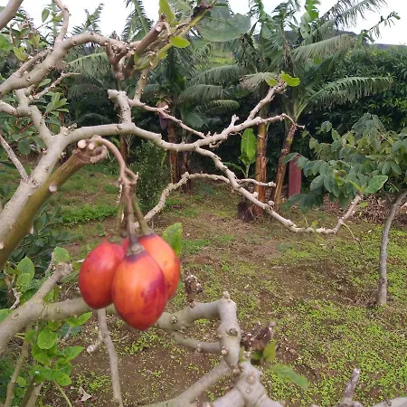 Hébergement de vacances Quinta Da Pavoa - House
