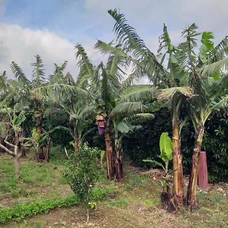 Hébergement de vacances Quinta Da Pavoa - House *