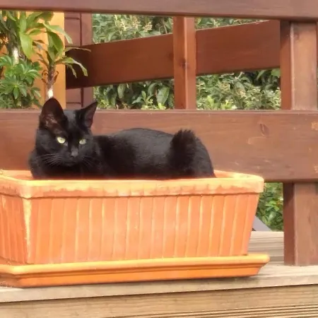 Quinta Da Pavoa - House Casa vacanze *