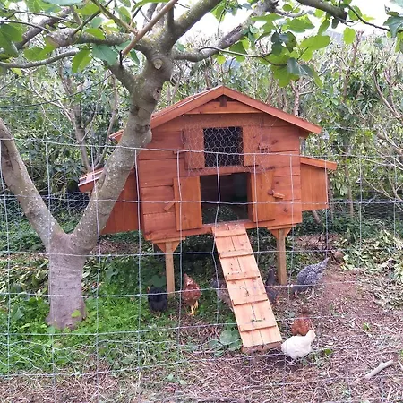 Hébergement de vacances Quinta Da Pavoa - House