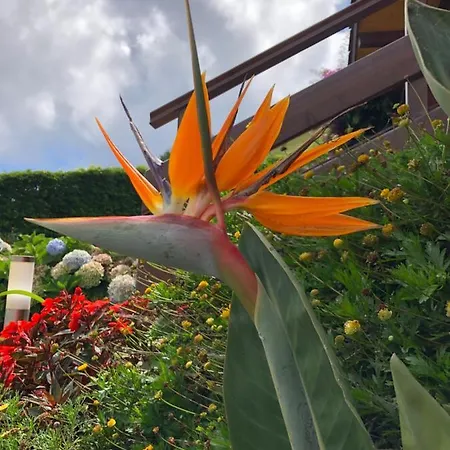 Hébergement de vacances Quinta Da Pavoa - House *