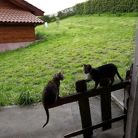 Quinta Da Pavoa - House *