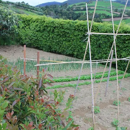 Quinta Da Pavoa - House Hébergement de vacances *