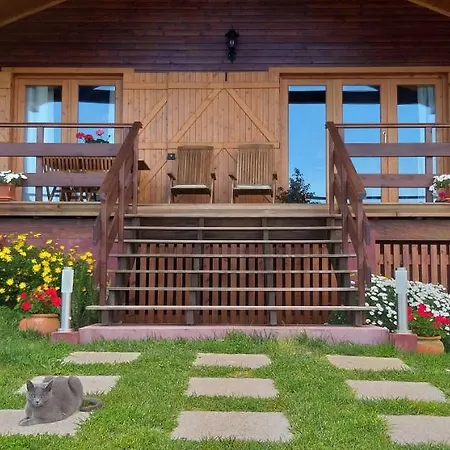 Quinta Da Pavoa - House *