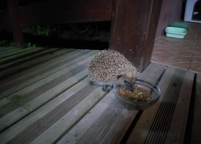 Quinta Da Pavoa - House Nyaraló