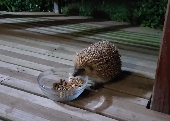 Quinta Da Pavoa - House *