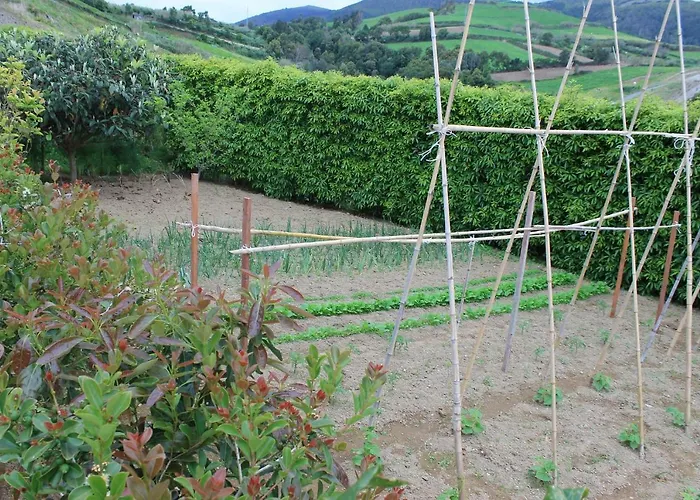 Quinta Da Pavoa - House Nyaraló *